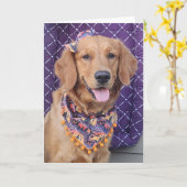 Carte Golden Retriever Halloween greeting card (Fleur jaune)