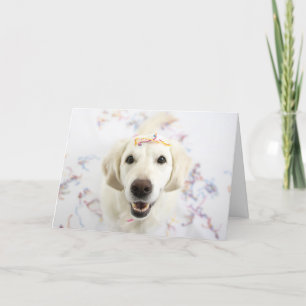 Carte Golden Retriever Happy Birthday Greeting Card