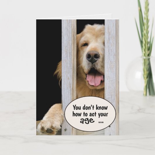 Carte Golden Retriever Humour d'anniversaire (Devant)