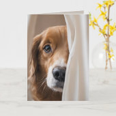 Carte Golden Retriever Humour d'anniversaire (Fleur jaune)