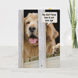 Carte Golden Retriever Humour d'anniversaire
