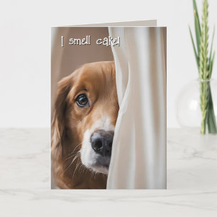 Carte Golden Retriever Humour d'anniversaire