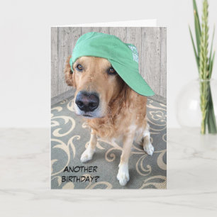 Carte Golden Retriever Humour d'anniversaire