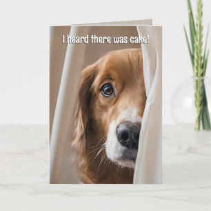Carte Golden Retriever Humour d'anniversaire