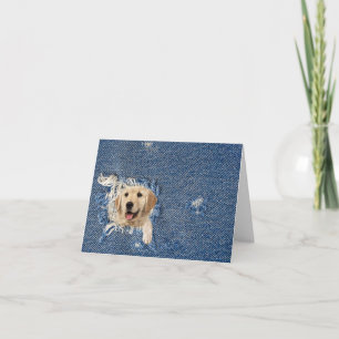 Carte Golden Retriever In Denim Hotte Note Card