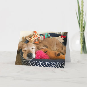 Carte Golden Retriever là où vos rêves vous emmènent