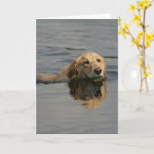 Carte Golden retriever nageant (Fleur jaune)