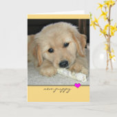 Carte Golden Retriever New Puppy Grey Card (Fleur jaune)