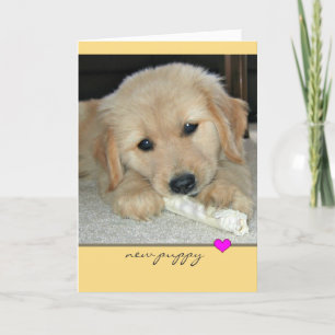 Carte Golden Retriever New Puppy Grey Card