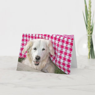 Carte Golden Retriever Obtenir un vieil humour d'anniver