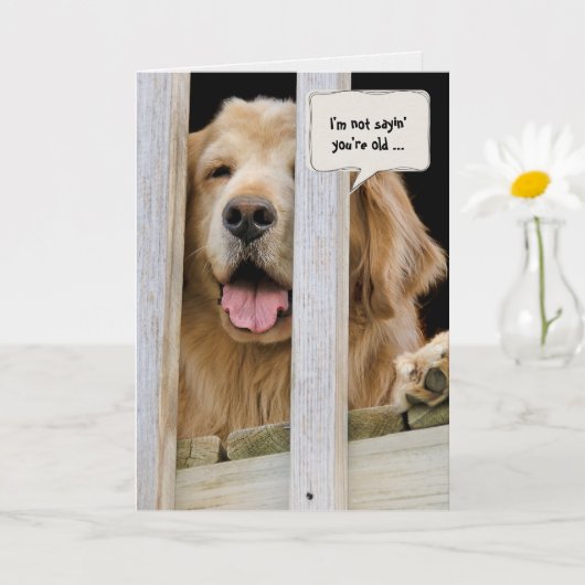 Carte Golden Retriever obtient un vieux anniversaire (Petite plante)