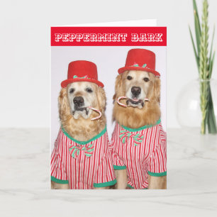 Carte Golden Retriever Pepperment Bark