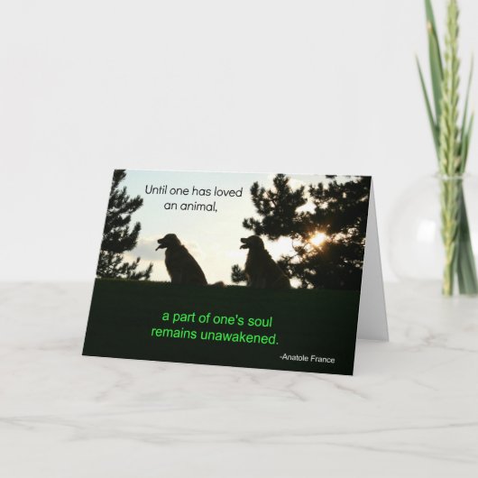 Carte Golden Retriever Pet Sympathie (Devant)