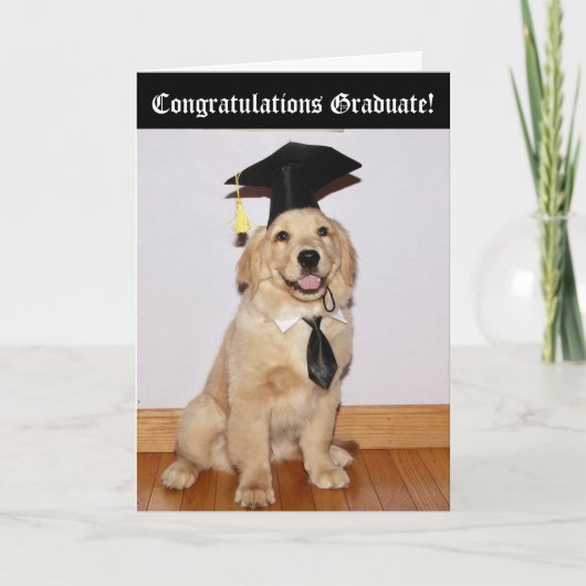 Carte Golden Retriever Puppy graduation (Devant)