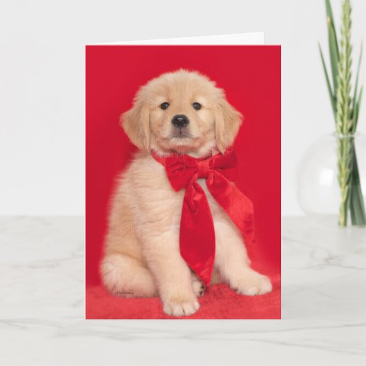 Carte Golden Retriever Puppy Merry Woofin Noël (Devant)