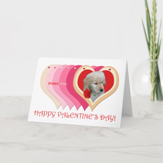 Carte Golden Retriever Puppy Valentine (Devant)