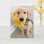 Carte Golden Retriever Puppy with Flower Mother's Day (Fleur jaune)