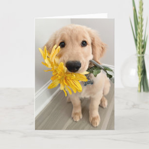 Carte Golden Retriever Puppy with Flower Mother's Day