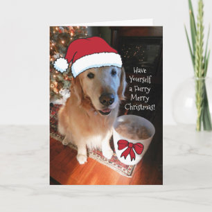 Carte Golden Retriever s'amuse un joyeux fureur