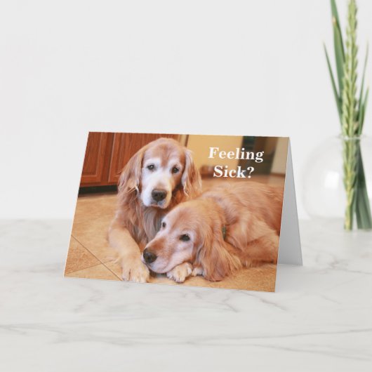 Carte Golden Retriever se sent malade obtenir bien (Devant)