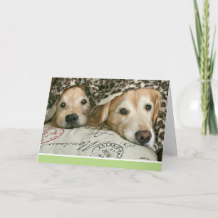 Carte Golden Retriever se sent malade obtenir bien