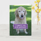 Carte Golden Retriever Sent Une Vieille Personne Anniver (Fleur jaune)