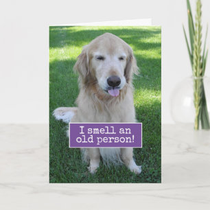 Carte Golden Retriever Sent Une Vieille Personne Anniver