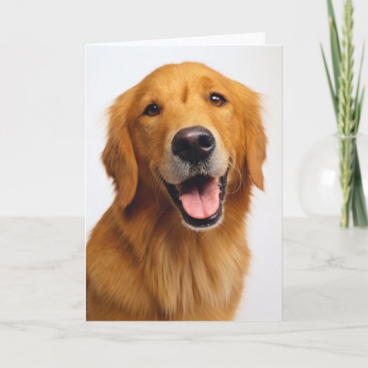 Carte Golden Retriever Smile (Devant)