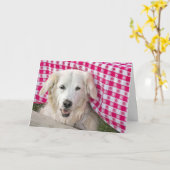 Carte Golden Retriever sous nappe pour anniversaire (Fleur jaune)