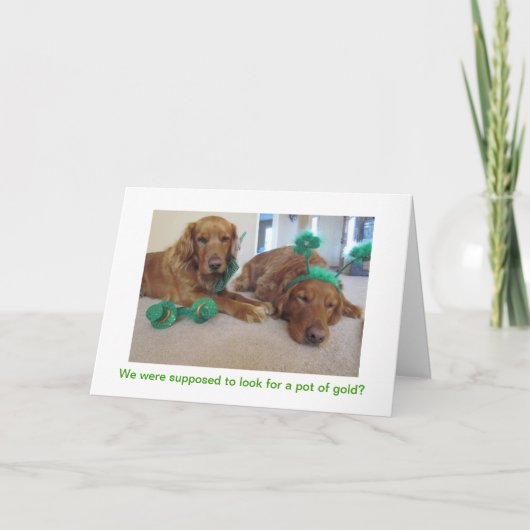 Carte Golden Retriever St. Patrick's Day Card (Devant)