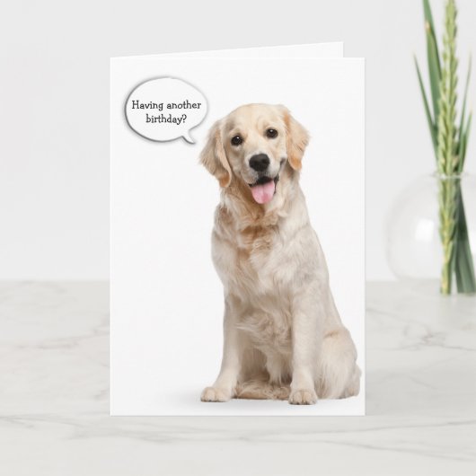 Carte Golden Retriever sur l'anniversaire blanc (Devant)