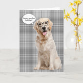 Carte Golden Retriever sur l'humour d'anniversaire plaid (Fleur jaune)