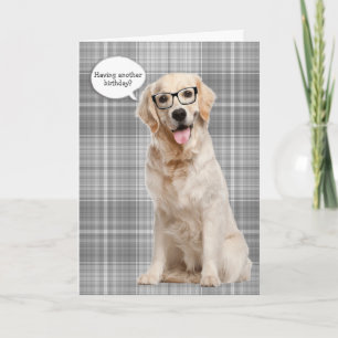 Carte Golden Retriever sur l'humour d'anniversaire plaid