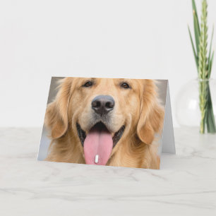 Carte Golden Retriever Vieillesse Anniversaire Humour