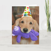 Carte Golden Retriever with Happy Birthday Casquette and (Devant)
