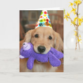 Carte Golden Retriever with Happy Birthday Casquette and (Fleur jaune)