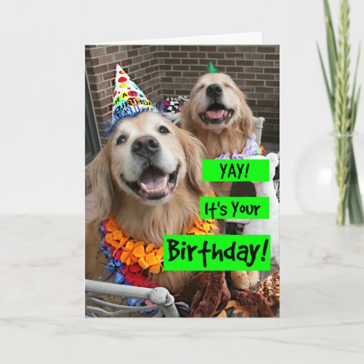 Carte Golden Retriever Yay C'est ton anniversaire (Devant)