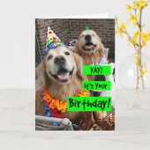Carte Golden Retriever Yay C'est ton anniversaire (Fleur jaune)