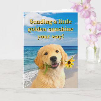 Carte Golden Sunshine Golden Retriever Plié