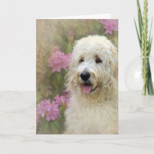 Carte Goldendoodle avec texture