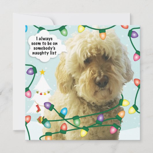 Carte Goldendoodle Noël, Doodle Amusement (Devant)