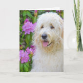 Carte Goldendoodle Penser à vous (Devant)