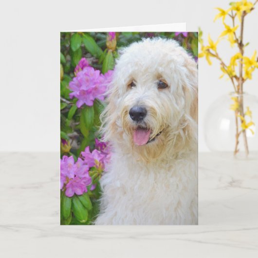 Carte Goldendoodle Penser à vous (Fleur jaune)