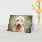 Carte Goldendoodle souriant (Fleur jaune)