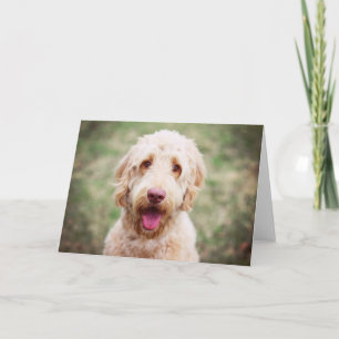 Carte Goldendoodle souriant