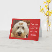 Carte Goldendoodle Valentine's Day (Fleur jaune)