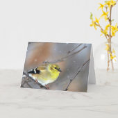 Carte Goldfinch (Fleur jaune)