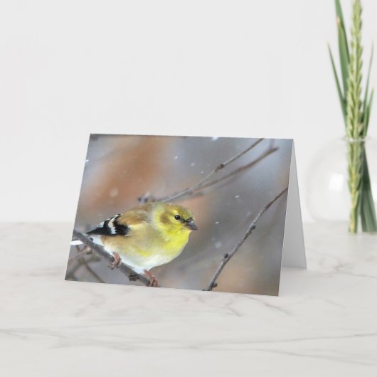 Carte Goldfinch (Devant)