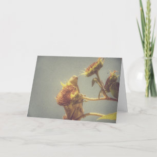 Carte Goldfinch et une Sunflower Retro Photographie