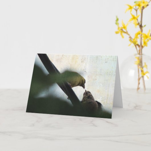 Carte Goldfinch nourrit son bébé, anniversaire (Fleur jaune)